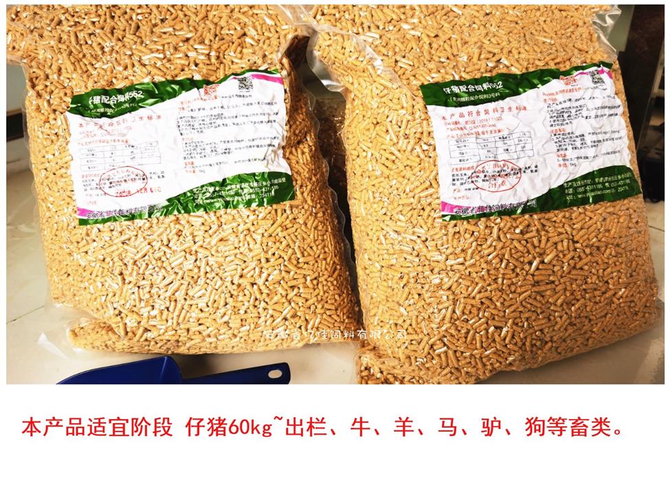 仔猪全价配合饲料颗粒