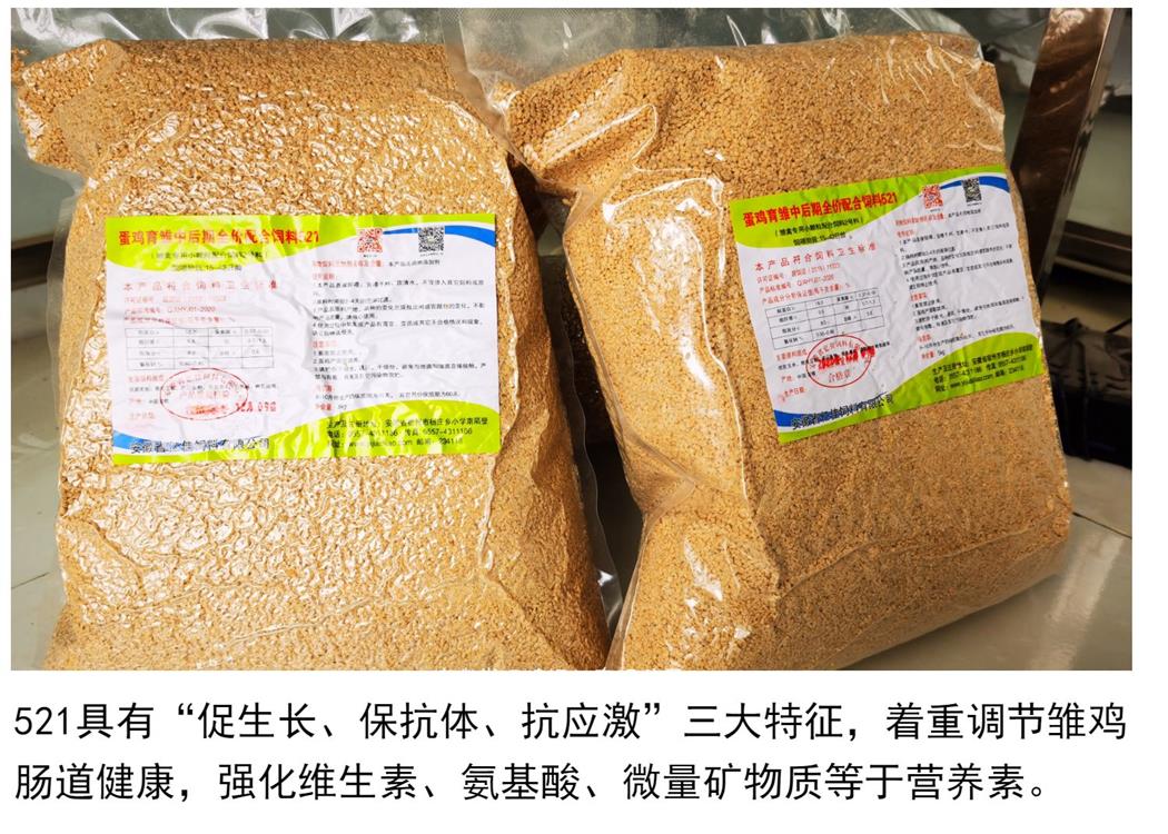 蛋小鸡中后期