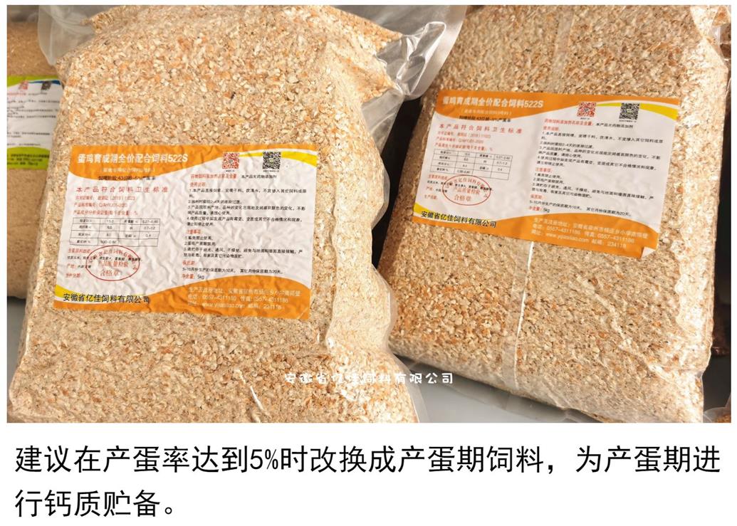 蛋鸡育成期全价配合饲料